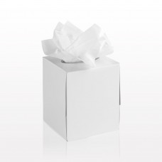 Cube White 2 ply Facial Tissue 70 Sheets x 24 Box
